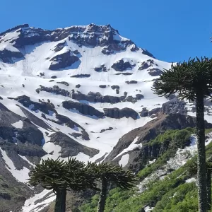 Trekking Primaveral a Laguna Blanca | Volcán Tolhuaca Milenario