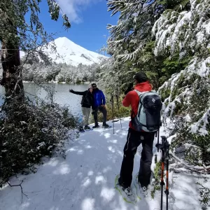Tour Parque Nacional Conguillío | Volcanes y Araucarias milenarias