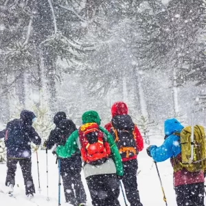 ¡Tour invernal con Guías Locales | Reserva Nacional Malalcahuello