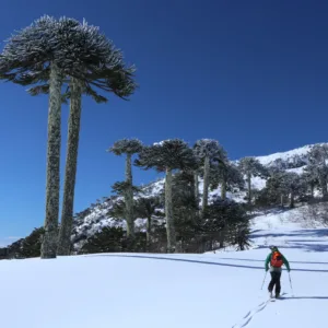 Skitouring Volcán Sollipulli | 2 Días de Freeride