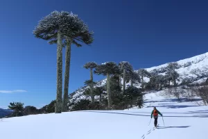 Explora Nevados de Sollipulli | Esquí Touring Backcountry