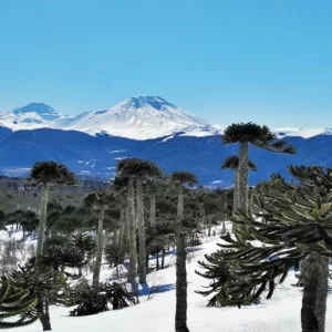 Trekking Volcán Sierra Nevada | Malalcahuello