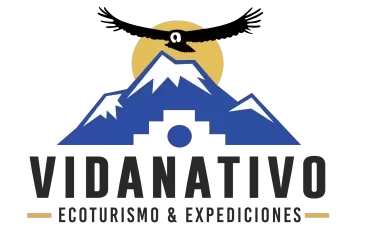 cropped-logo.webp cropped-logo.webp