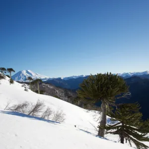 Explora y disfruta del Ski randonnée | Valle de Malalcahuello