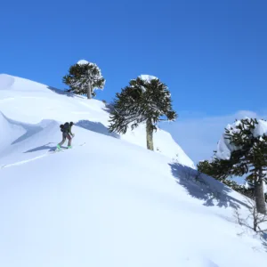 En el Corazón de Malalcahuello | Esquí randonnée-Ski Touring