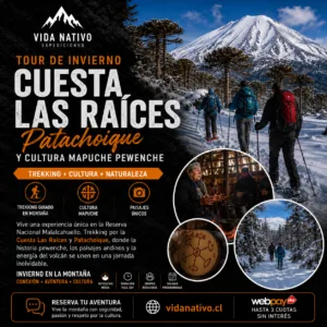 Trekking invernal y Cuesta de las raíces, Arenales
