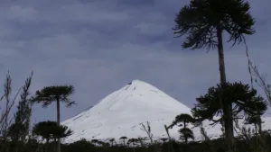 Ascenso Volcán Llaíma | Ski Touring, Mountaineering